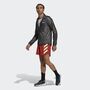 adidas TERREX Agravic 2.5-Layer Regenjacke