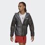 adidas TERREX Agravic 2.5-Layer Regenjacke