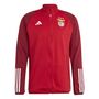 adidas Benfica Lissabon Tiro 23 Trainingsjacke