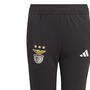 adidas Benfica Lissabon Tiro 23 Kids Trainingshose