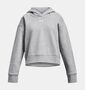 Under Armour Rival Fleece Crop Hoodie