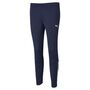 Puma teamLIGA Training Pants W - blau