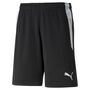 Puma teamLIGA Referee Shorts - schwarz