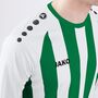 Jako Trikot Inter La - wei�/sportgr�n