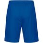Jako Sporthose Power - royal/citro