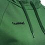 Hummel Logo Cotton Hoodie Damen