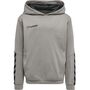 Hummel Hmlauthentic Kids Poly Hoodie - grey melange