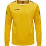 Hummel Hmlauthentic Training Sweat - sports yellow