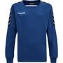 Hummel Hmlauthentic Kids Training Sweat - true blue