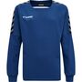 Hummel Hmlauthentic Kids Training Sweat - true blue
