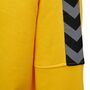 Hummel Hmlauthentic Kids Training Sweat - sports yellow