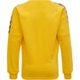 Hummel Hmlauthentic Kids Training Sweat - sports yellow