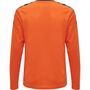Hummel Hmlauthentic Kids Poly Jersey L/S - tangerine