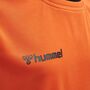 Hummel Hmlauthentic Kids Poly Jersey L/S - tangerine