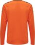 Hummel Hmlauthentic Kids Poly Jersey L/S - tangerine