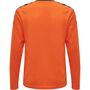 Hummel Hmlauthentic Kids Poly Jersey L/S - tangerine