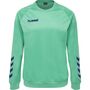 Hummel Hmlpromo Kids Poly Sweatshirt - atlantis