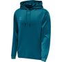 Hummel Hmlcore Xk Poly Sweat Hoodie - blue coral