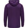 Hummel Hmlcore Xk Poly Sweat Hoodie - acai