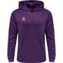 Hummel Hmlcore Xk Poly Sweat Hoodie - acai