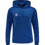 Hummel Hmlcore Xk Poly Sweat Hoodie - true blue