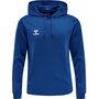 Hummel Hmlcore Xk Poly Sweat Hoodie - true blue