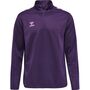 Hummel Hmlcore Xk Half Zip Poly Sweat - acai
