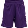 Hummel Hmlcore Xk Poly Shorts Kids - acai