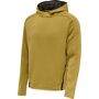 Hummel Hmlcima Xk Hoodie - antique gold