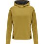 Hummel Hmlcima Xk Hoodie - antique gold