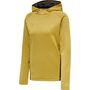 Hummel Hmlcima Xk Hoodie Woman - antique gold