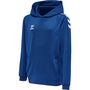 Hummel Hmlcore Xk Poly Kids Sweat Hoodie - true blue