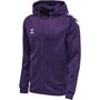 Hummel Hmlcore Xk Poly Zip Hood Sweat - acai/white