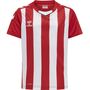 Hummel Hmlcore Xk Striped Jersey Kids S/S - true red/white