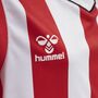 Hummel Hmlcore Xk Striped Jersey Kids S/S - true red/white
