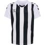 Hummel Hmlcore Xk Striped Jersey Kids S/S - white/black