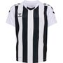 Hummel Hmlcore Xk Striped Jersey Kids S/S - white/black