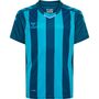 Hummel Core Xk Striped Trikot Kids
