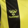 Hummel Hmlcore Xk Striped Jersey Kids S/S - black/blazing yellow