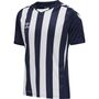 Hummel Hmlcore Xk Striped Jersey S/S - marine/white