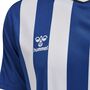 Hummel Hmlcore Xk Striped Jersey S/S - true blue/white
