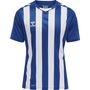 Hummel Hmlcore Xk Striped Jersey S/S - true blue/white
