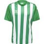 Hummel Hmlcore Xk Striped Jersey S/S - jelly bean/white