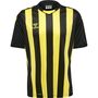 Hummel Hmlcore Xk Striped Jersey S/S - black/blazing yellow