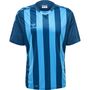 Hummel Hmlcore Xk Striped Jersey S/S - blue coral/blue danube