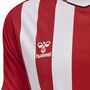 Hummel Hmlcore Xk Striped Jersey S/S - true red/white