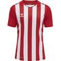 Hummel Hmlcore Xk Striped Jersey S/S - true red/white