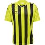 Hummel Hmlcore Xk Striped Jersey S/S - lime popsicle/black