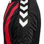 Hummel Hmlcore Xk Striped Jersey S/S - black/true red