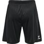 Hummel Hmlcore Xk Poly Coach Shorts - black